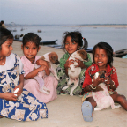 Children On The Ganges With Thier Puppies