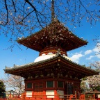 Kawagoe Small Pagoda Shrine.jpg