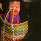 Baby In A Basket 1