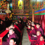 Young Monks At Dali Monastery, 5 KM from Dajeeling