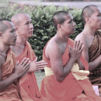 Thai Monks Visiting India Praying at Sunset