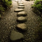 Koshikawa Stepping Stones.jpg