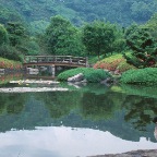 pond in Japan.jpg