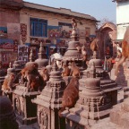 Monkey Temple 4